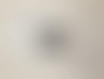 Still life (preview)