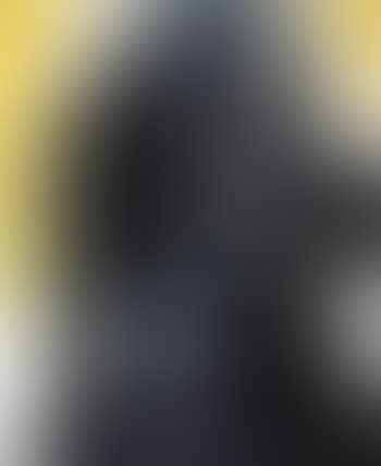 Le poete blesse (preview)