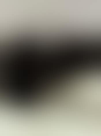 Reve de Lyke (preview)