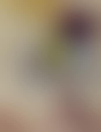 Bird (preview)