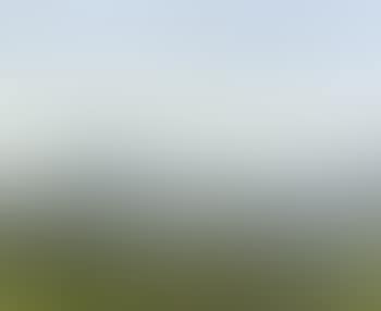 Morning light, west of Dwight (preview)