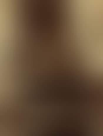 Section of the Grizzly Giant, 33 ft, Mariposa Grove, No 113 (preview)