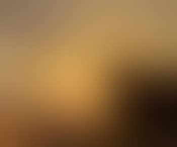 Daybreak over the cornfields (preview)