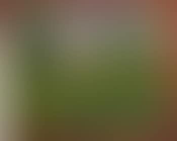 Woman in a garden (preview)