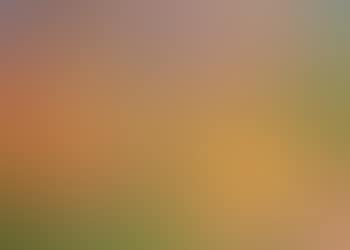 Jardinier (preview)