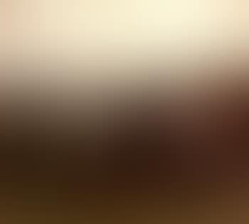 Portrait of an Equestrienne, Lady Munnings on her grey mare (preview)