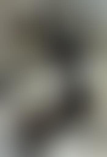 Untitled (preview)