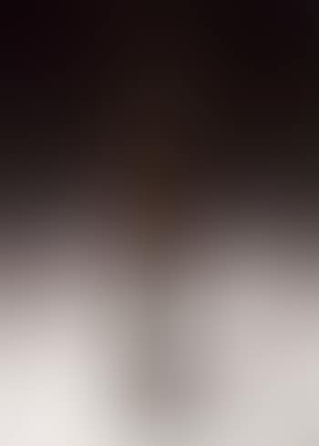 Figure (preview)