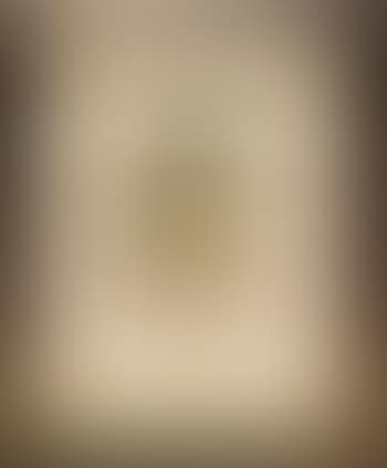 Indian portrait (preview)