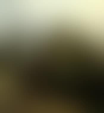 Esslingen (preview)