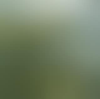 Spring landscape (preview)