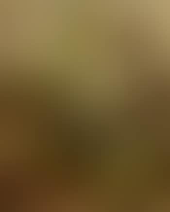 Paysage a la maison (preview)