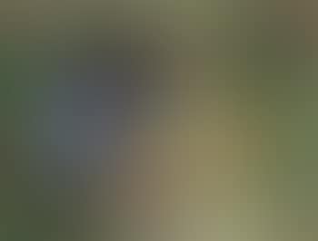 Two figures in meditation (preview)