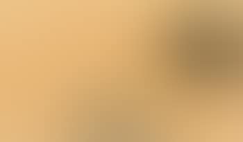 Le chat (preview)