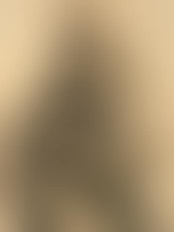 Gewandstudie - Study of a cloaked figure (preview)