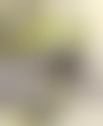 Still life of yellow roses in silver vase (preview)