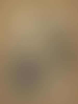 Portrait of Captain Oskar William Nilsson, Mora (preview)
