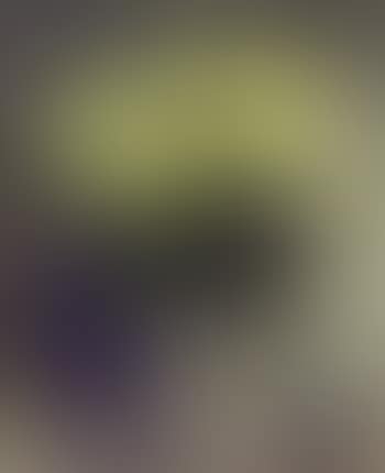 Still life of yellow roses in silver vase (preview)