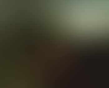Pastoral landscape (preview)