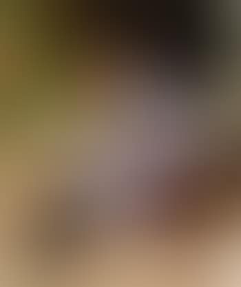Liseuse (preview)