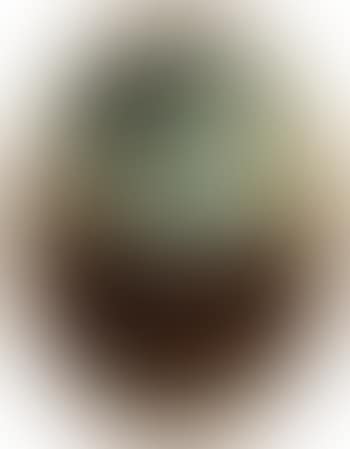 Mountainous landscapes (preview)