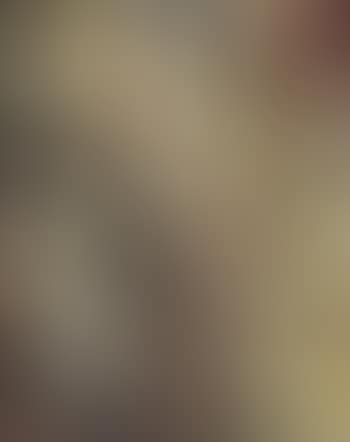 Composition (preview)