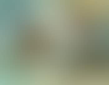 Composition (preview)