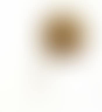 Ombelico di venere (preview)