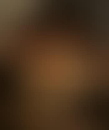 Still life of fruit with parrot (preview)