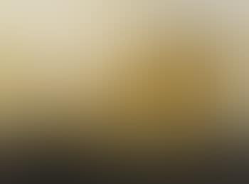 Portrait of the schooner Walter Francis (preview)