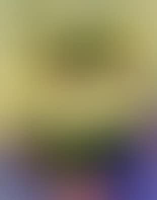 Yellow flowers (preview)