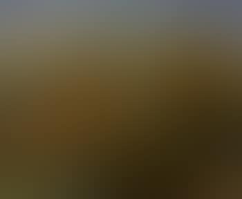 Paysage du Vaucluse (preview)