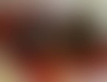 Deux tetes (preview)