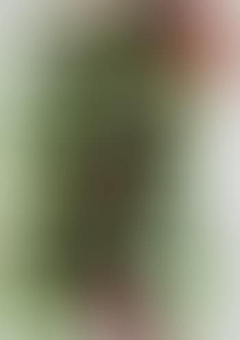 Composition (preview)