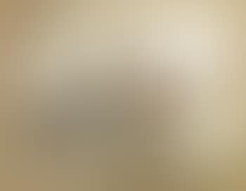 Concert in Italy (preview)