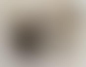 The small nude (preview)
