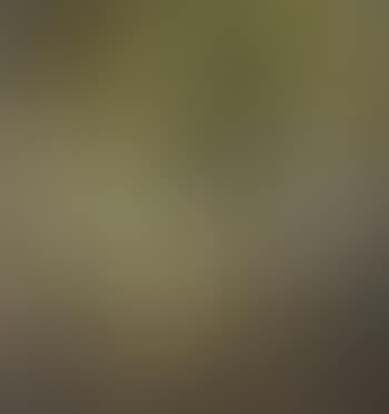 Small girl in forest (preview)