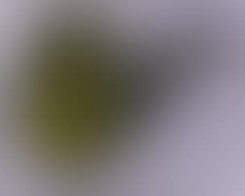 Brushstroke (preview)