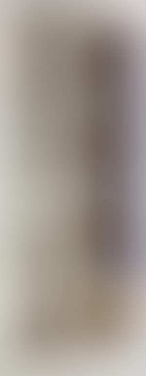 After Raphael's frescoes in the Stanze in the Vatican (preview)
