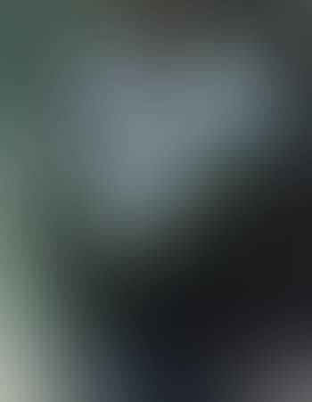 Still life of flowers (preview)