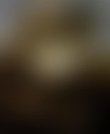 Wooded landscape with hermit. Rocky landscape with hermit (preview)