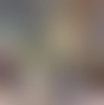Flowers by window (preview)