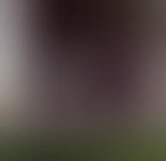 Clive Lloyd batting (preview)