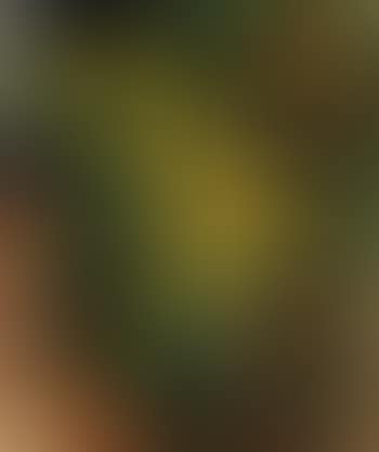Dandelions (preview)