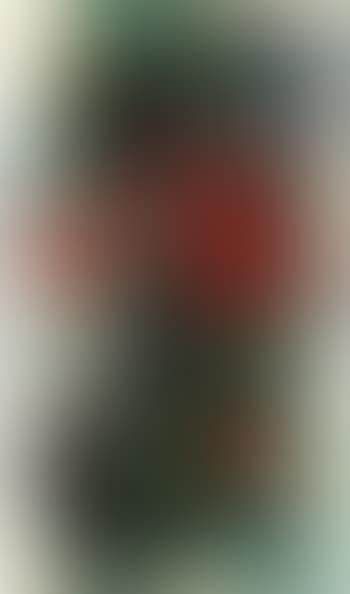 Untitled (preview)