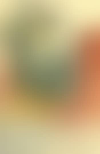 Portrait of a woman's head (preview)