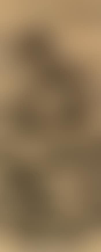 Landscape (preview)