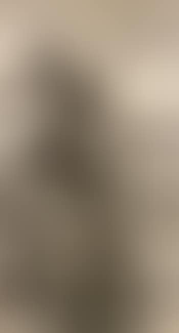 Landscape (preview)