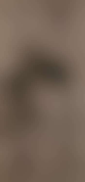 Bamboo (preview)