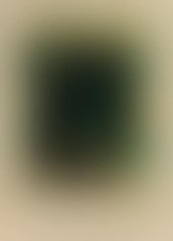 Regne vegetal (preview)